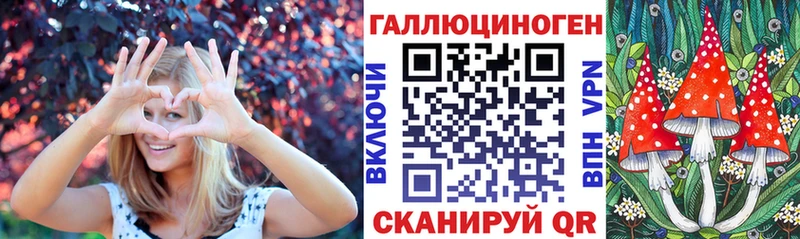 что такое   Кудрово  Галлюциногенные грибы мицелий 