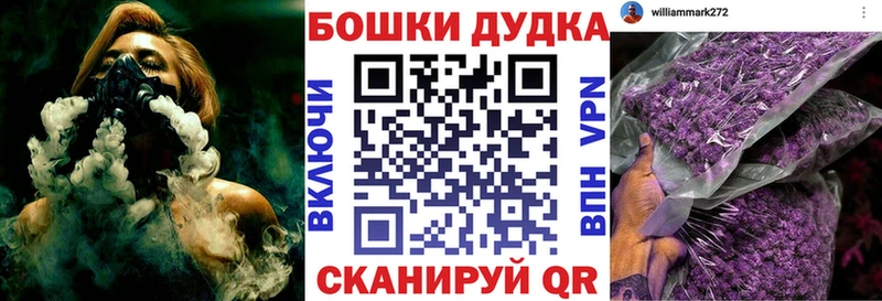 Шишки марихуана конопля нарко площадка формула Кудрово